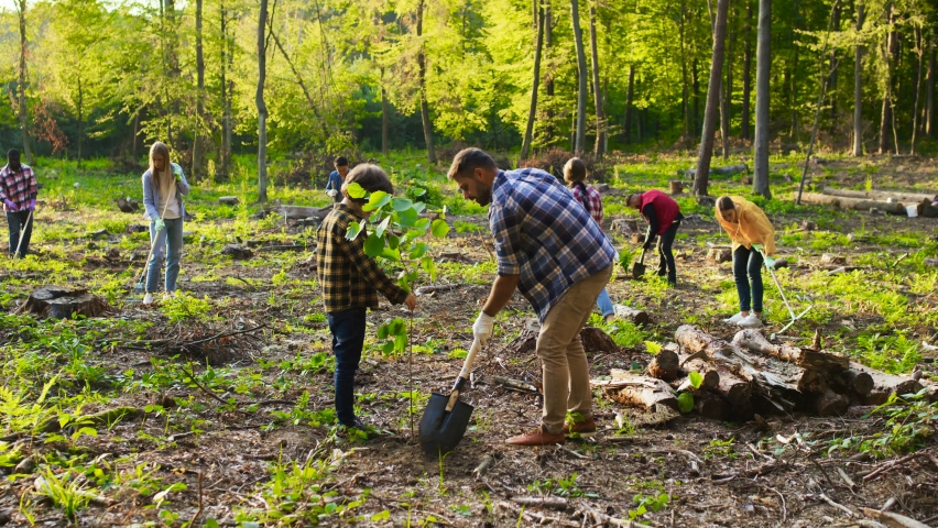 Family of father and son environmental volunteers planting trees together and with multicultural people at the background. Reforestation concept | Shutterstock HD Video #1080524318