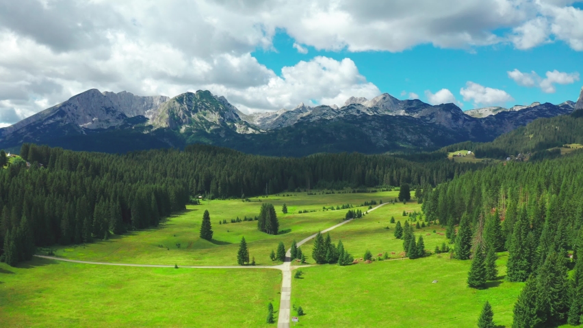 Aerial view of country asphalt road in mountain with pine forest in Durmitor, Montenegro. Drone flying over pine trees and country road in the mountain.