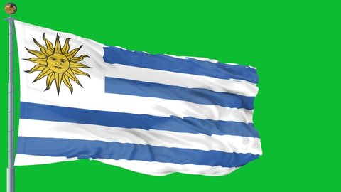 Uruguay flag is waving 3D animation green Background. Uruguay flag waving in the wind. National flag of Uruguay. flag seamless loop animation. high quality 4K resolution