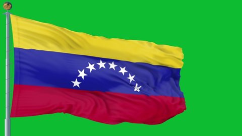 Venezuela flag is waving 3D animation green Background. Venezuela flag waving in the wind. National flag of Venezuela. flag seamless loop animation.
