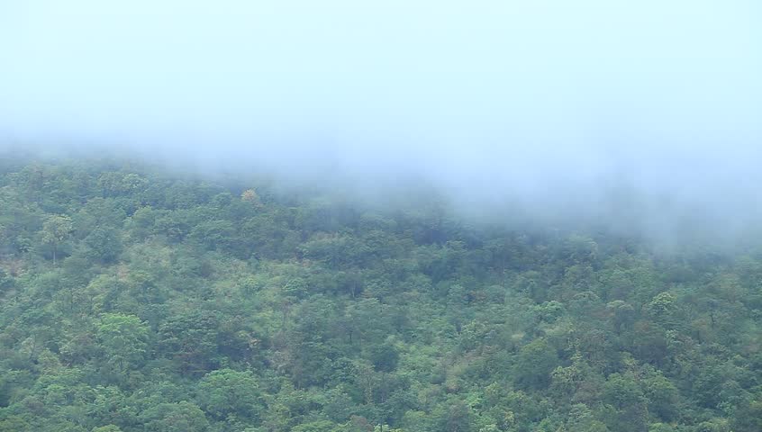 Fog in the mountains after the rain
