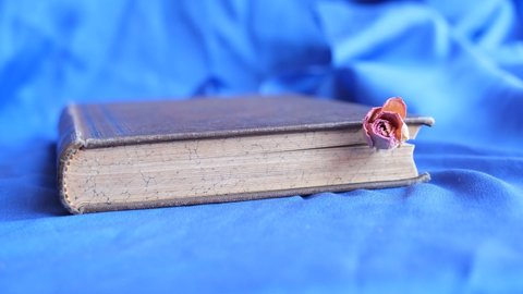old vintage book and rose. dried rose lying in an antique book. the concept of antiquity and vintage