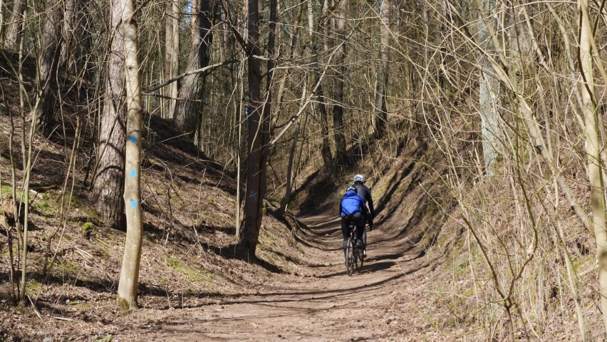 Two cyclists ride up a hill in the early spring wood.