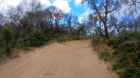 Rear facing driving point of view POV driving along an inland sandy track, from a Queensland beach with barren trees under a blue sky - ideal for interior car scene green screen replacement