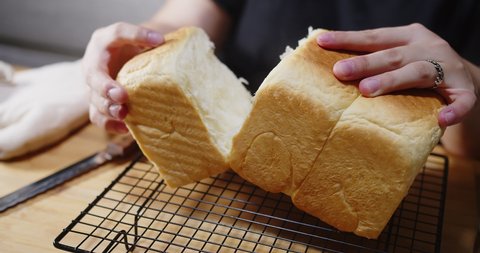 Woman hands breaking Fresh homemade Baked Japanese Soft and Fluffy Bun loaf of Bread or shokupan bread, Popular as Hokkaido Milk Bread at home kitchen