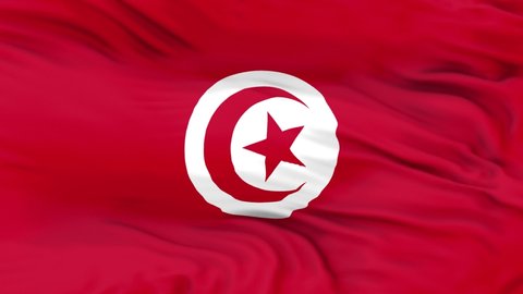 Tunisia flag is waving 3D animation. Tunisia flag waving in the wind. National flag of Tunisia. flag seamless loop animation.