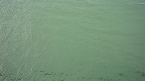 wide sea surface with a greenish tint view from above