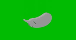 Animation of rotation of a white eggplant symbol with shadow. Simple and complex rotation. Seamless looped 4k animation on green chroma key background