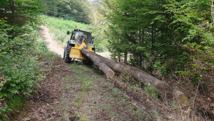 Tractor cleaning tree logs from forest 4K