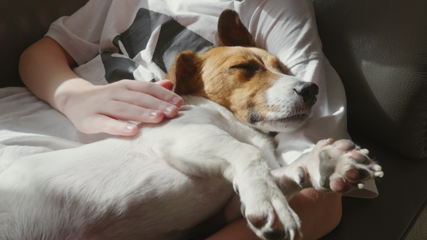 Happy boy hugs dog Jack Russell Terrier, smiling in love sitting on sofa in living room in morning. Child sleepy dog plays emotionally. Childhood. Pets. Focus on loving pets. Lifestyle. Family concept