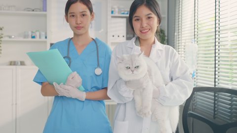 Portrait of veterinarian doctor and assistant working in pet hospital. Professional vet specialist holding little cat kitty, stand with confidence and smiling, looking at camera in veterinary clinic.