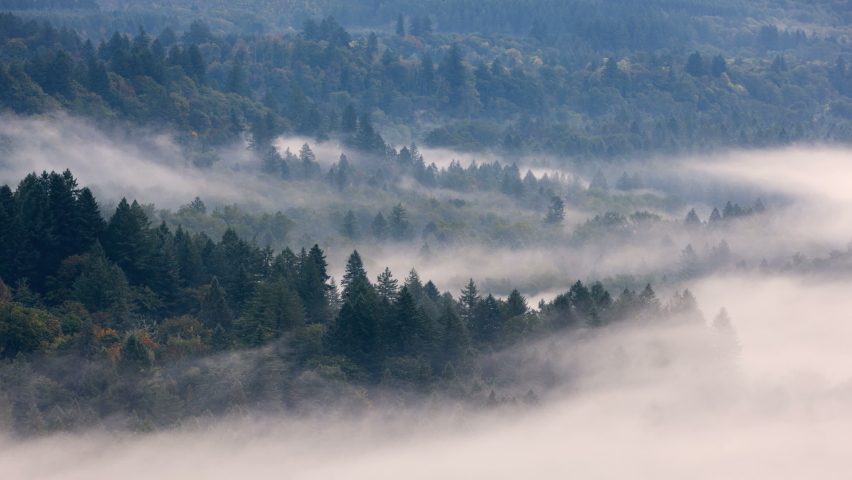Ultra High Definition 4k Time Lapse movie of low clouds and fog rolling over evergreen trees in Sandy River Valley in Oregon at early morning sunrise during Fall Season USA America UHD Royalty-Free Stock Footage #1080631079