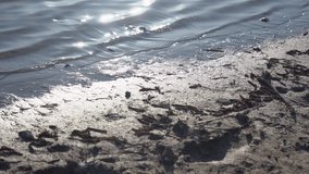Close-up view 4k video footage of cold empty mudy sunny beach of river