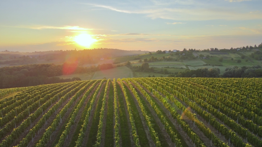 Aerial drone view over vineyards, towards agricultural fields, during sunset | Shutterstock HD Video #1080649061