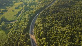 Shooting of a winding road passing through the wood from a bird's eye view. Location Carpathian mountains, Ukraine, Europe. Cinematic aerial shot. Explore the beauty of world. Filmed 4k, drone video.