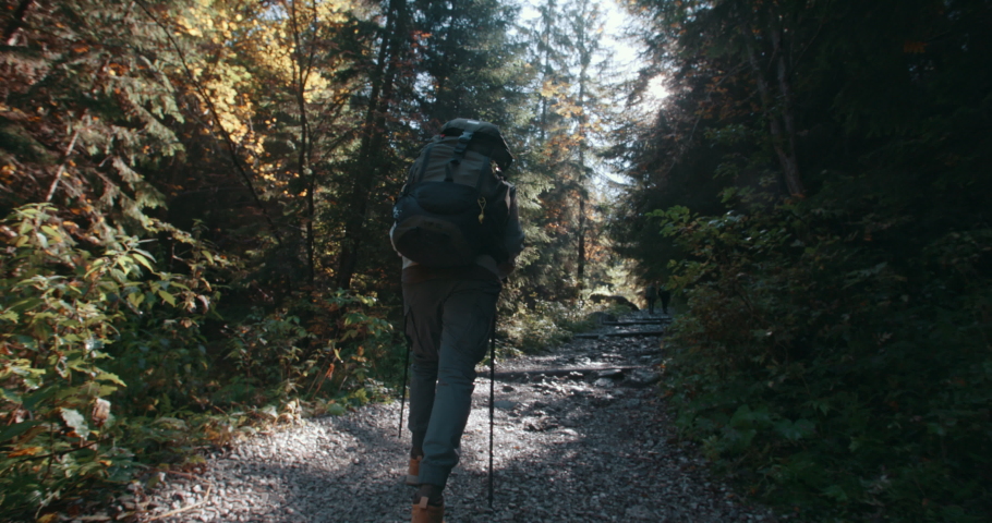 Wide shot male hiker walking up on rocky trail with camping backpack in mountain forest. Man hiking use trekking poles in autumn fall nature woods. Adventure travel explorer in Tatra national park Royalty-Free Stock Footage #1080657221