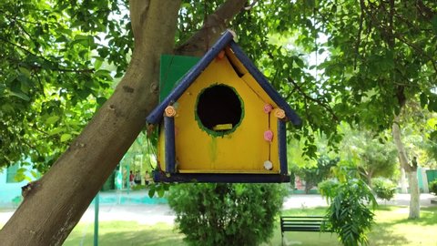Wooden Nest Box Birdhouse Hanging on A Tree