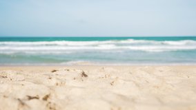 Close up focused sandy beach blurred sky sunlight Hawaii. Beach sand close up white foamy nature sunny summer exotic shore United States. Beach text space area. intro Video 4K dunes close up
