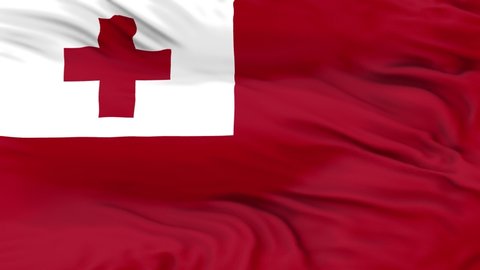 Tonga flag is waving 3D animation. tonga flag waving in the wind. National flag of tonga. flag seamless loop animation. 4K