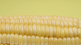 Ear of corn on a yellow background, extreme macro shooting.Move from right to left. 4K UHD video footage 3840X2160.
