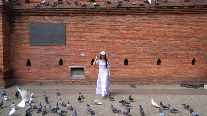 Tourists enjoy watching birds at tha Phae Gate in Chiang Mai.
