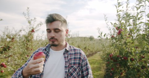 A young man eating a red apple on the background of apple trees, smile and happy