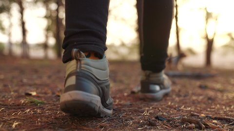 hiker feet walking the dog in the park forest. travel concept. close-up of a leg man walking with a dog in the park in the forest. pet journey dog walk concept. hiker sneakers walking close-up park