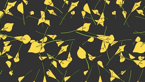 Yellow calla lily flowers on gray background.
Toon style loopable animation for background.

