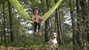 Small kid in yellow hammock with white dog puppy breed jack russel terrier in autumn forest. Childhood with pets concept. UHD 4k video