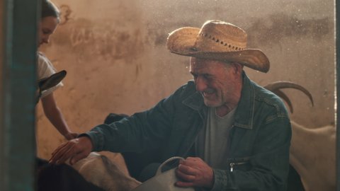 Elderly male farmer caressing goats while little girl feeding animals in sunlit stall on ranch