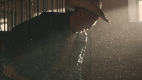Elderly male farmer in straw hat standing in cloud of dust and throwing hay while working in sunlit stable on ranch in sunbeam
