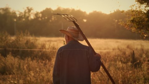 Back view of senior man in denim jacket and straw hat carrying pitchfork on shoulder and examining grassy field on sunny summer day on ranch