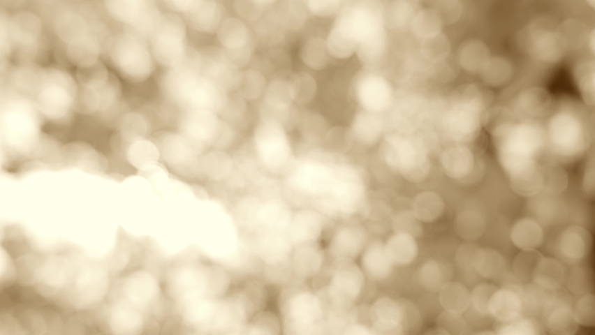 Close-up view 4k stock video footage of beutiful abstarct brown and white natural background. Fresh unfocused organic foliage isolated on clear blue sky background. Sun flares glowing through branches