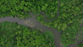 Meanders river delta river dron aerial video shot inland in floodplain forest and lowlands wetland swamp, quadcopter view flying fly flight show, protected landscape area of Litovelske Pomoravi
