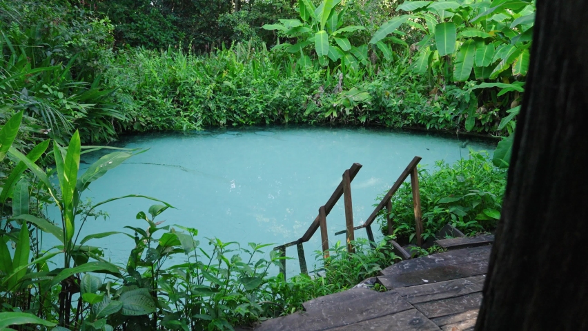 famous fervedouros. Natural pool at Jalapao Brazil natural park
