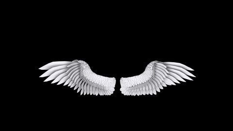 Angel Wings. 4K. Alpha channel included. Looped. Easy to use. 

