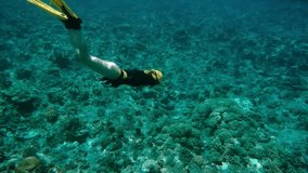 pretty free diver exploring coral reefs