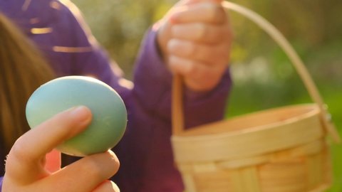 Easter Egg .Child collects Easter eggs and puts in a basket in the spring garden.Spring religious holiday.Easter Egg Hunt.Easter holiday tradition.