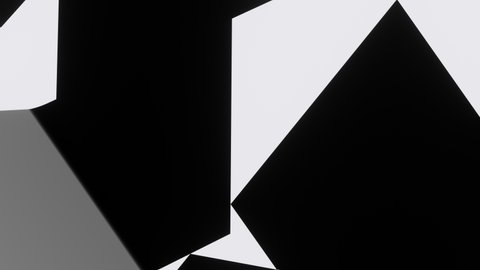 VJ loops Black and White Abstract Fantasy background.
