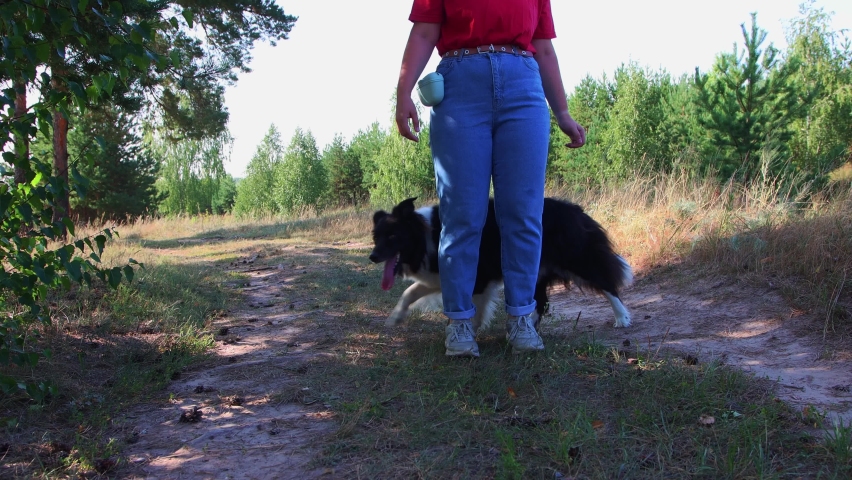Young woman and her well trained loyal dog running around her