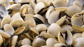 Fresh White shell clams. ready to cook. Rotating video
