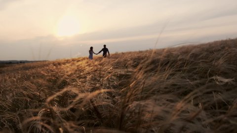Two people girl and man walking in the field slow motion. Summer season sunset. Golden spikelets of wheat fluttering in the wind. Dark silhouettes of people