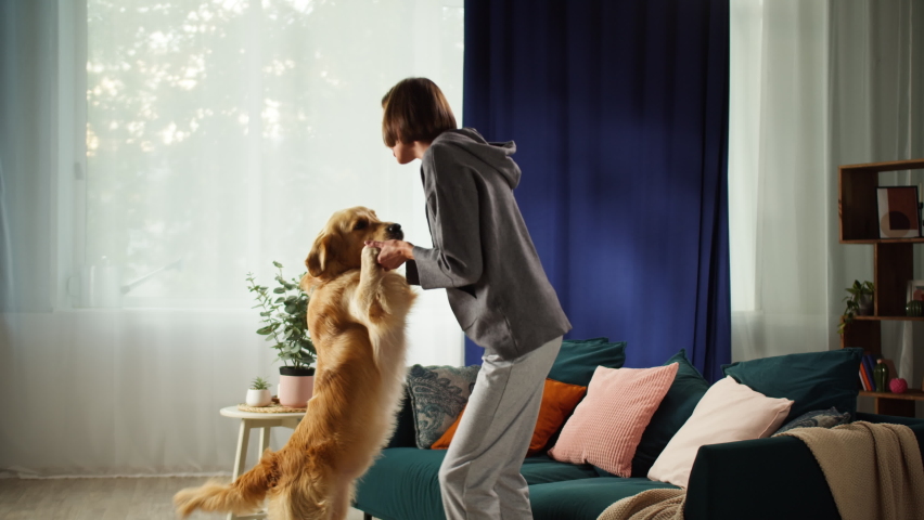 Young woman dancing with dog in living-room, golden retriever standing on back legs. Having fun together with lovely pet. Happy puppy waving his tail, playing with owner at home.  Royalty-Free Stock Footage #1080841298