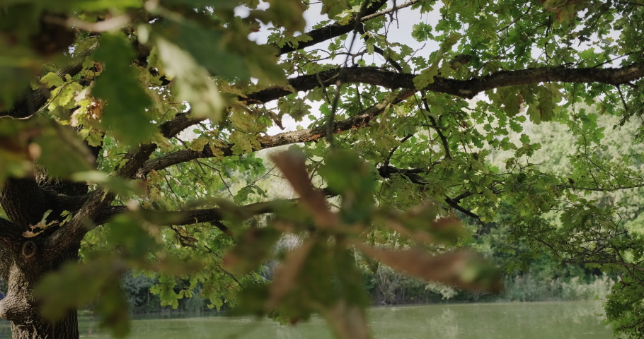 Young women at school, four female friends talking and preparing college test outdoors. People and education with happy Caucasian and African american students reviewing homework