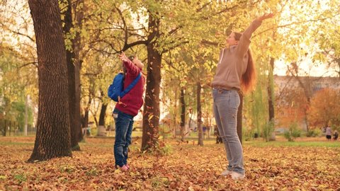mother and little child in an autumn park throw dry leaves up, happy family, live fun with mom, cheerful kid plays with foliage and parent hands throwing leaf fall, parental care of girl, nature walk
