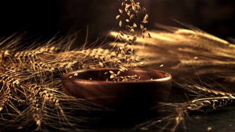 The super slow motion of wheat grains falls on a plate on the table. On a black background.Filmed on a high-speed camera at 1000 fps.High quality FullHD footage