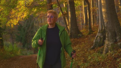 SLOW MOTION, CLOSE UP: Senior female treks along an empty path leading through the fall colored woods in Slovenia. Elderly Caucasian woman walks along a scenic forest trail at golden autumn sunset.
