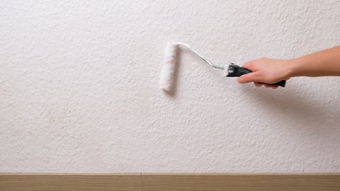 Caucasian woman painting wall to refresh and cover stains and mold. Roller in hand paints textured wall with white color paint. Renovation concept. Close up view, horizontal movement