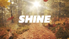 Animation of shine text over autumn trees. social media messaging and global communication technology concept digitally generated video - Powered by Shutterstock - Get 15% off with code: PIKWIZARD15