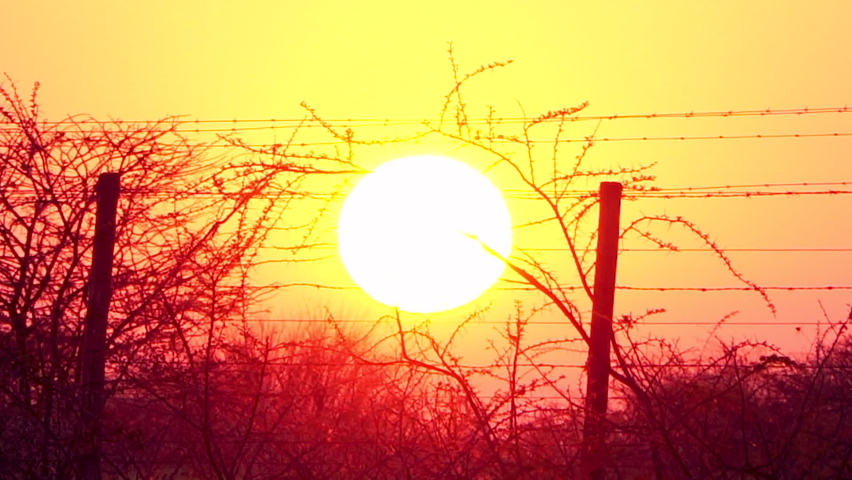 Big fireball sun setting at game reserve fence, sunset, zoom out